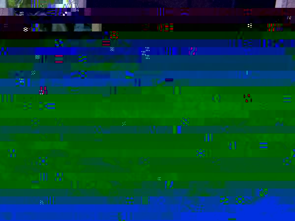 20560_1114104953028_1839067229_232846_3472759_n.jpg