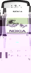 nokia_1100_1.jpg