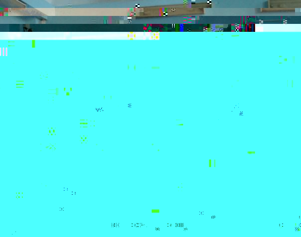 x_029da4d9.jpg